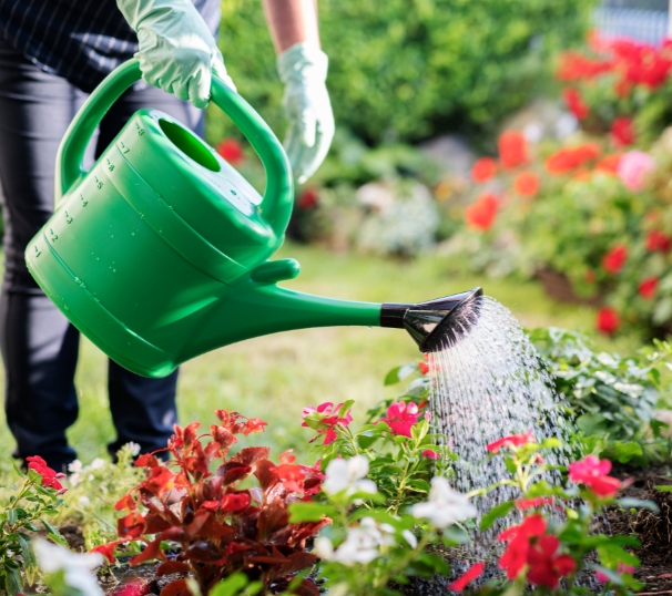 NDIS Gardening Services